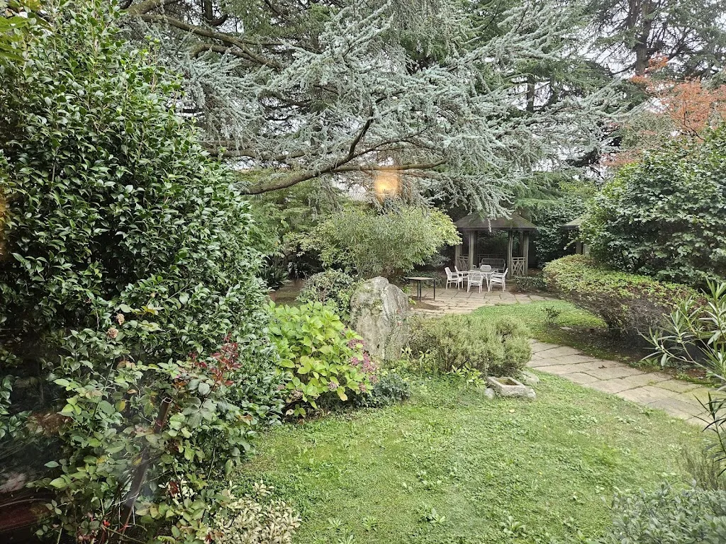 Rhadames Tellez_Ristorante Pinocchio_Borgomanero_recensione