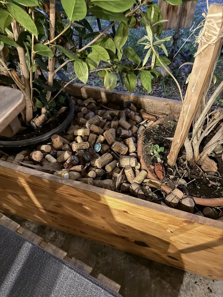 Laurent Givel_Trattoria Enoteca Del Tiro A Segno_Borgomanero_review