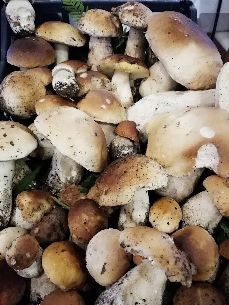 Menu_Ristorante Pizzeria Il Piccantino_Borgomanero_image_7