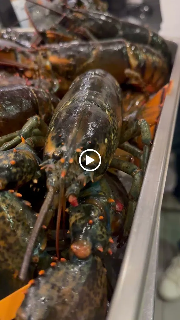 Ristorante Pizzeria Il Piccantino_Borgomanero_slider_image_2