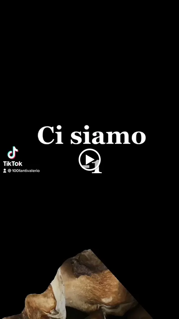 Ristorante L'Angolo D'Abruzzo_Carsoli_slider_image_2