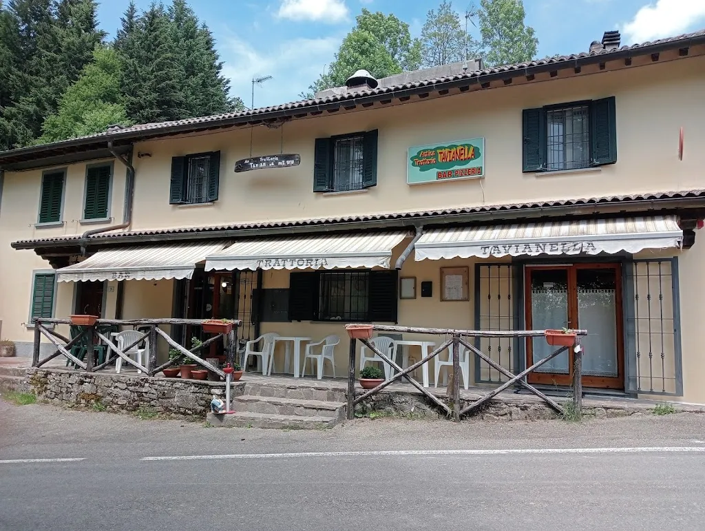 Paolo G._Antica Trattoria Tavianella_Castiglione_review