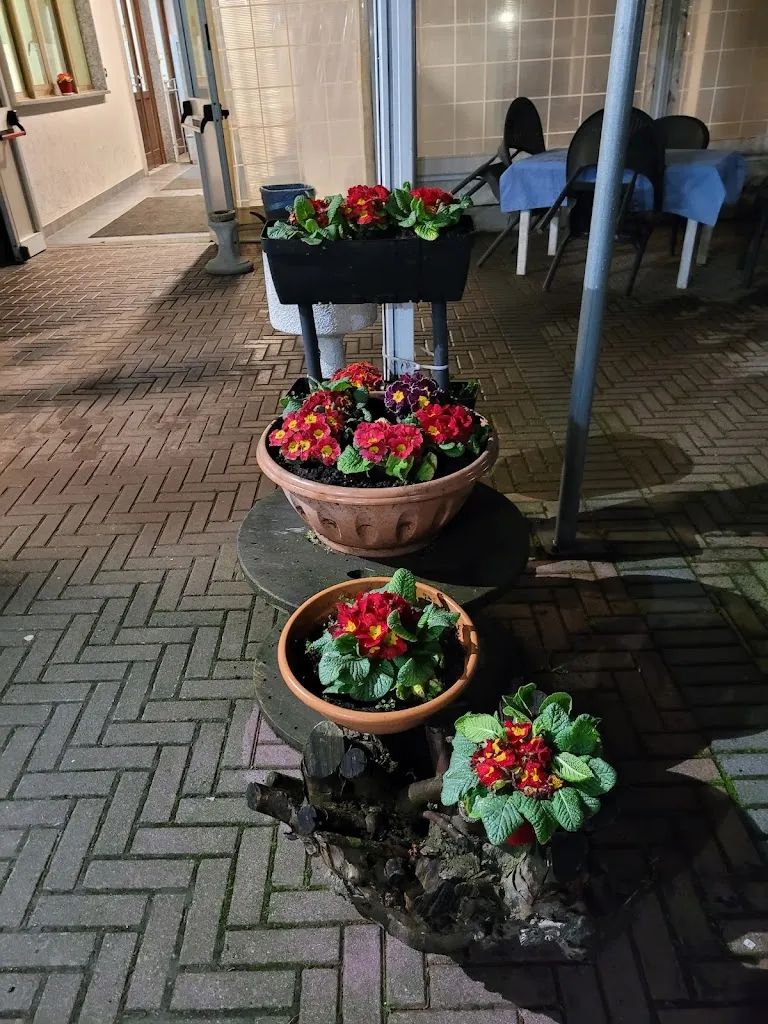 Menu_LIDO MALONE_Brandizzo_image_8