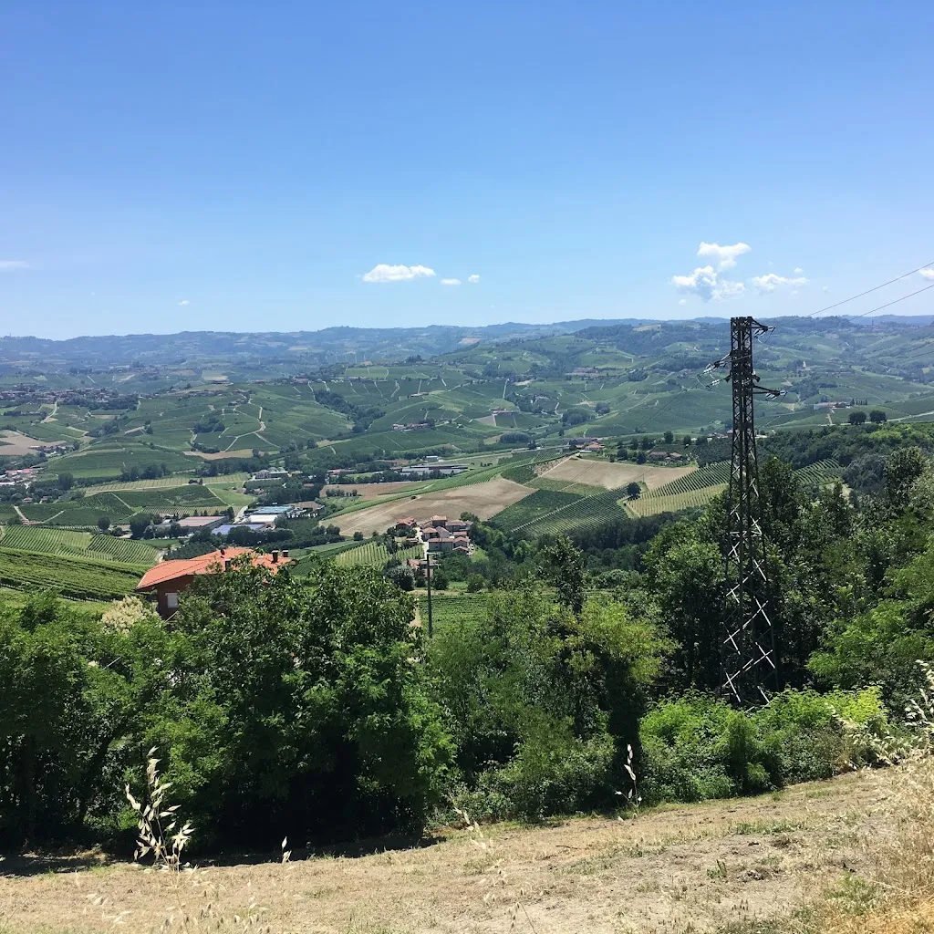 B. E._Il Bricco_Bricco di Neive_review