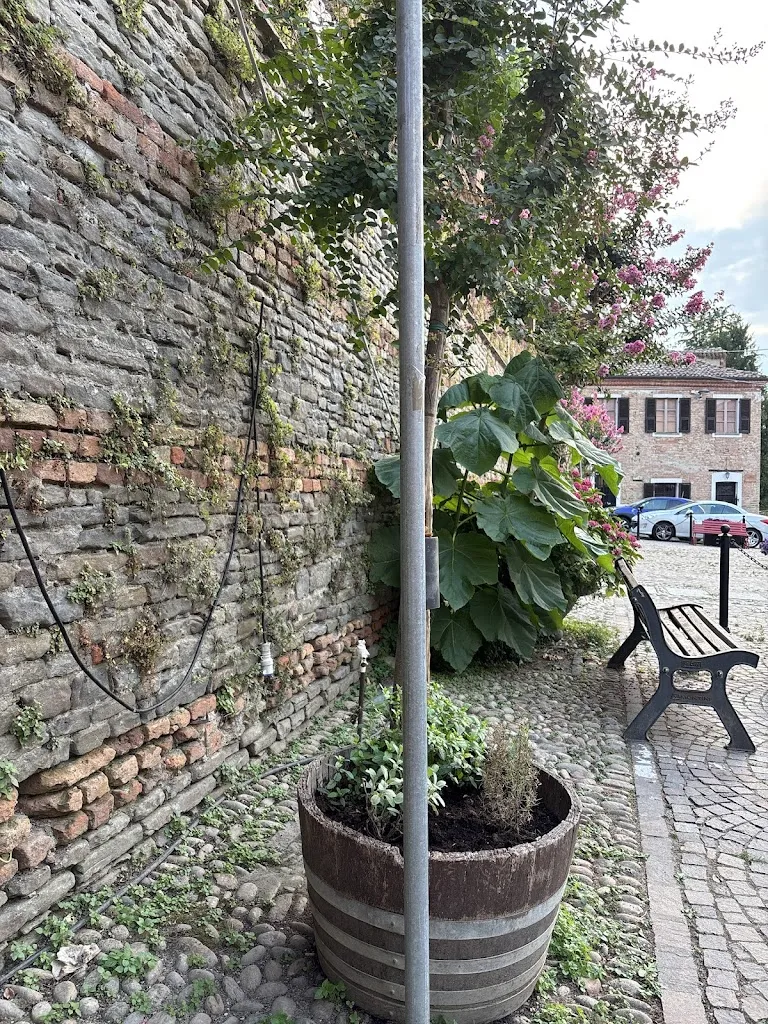 Federico Mosqueira_Al nido della Cinciallegra_Bricco di Neive_review