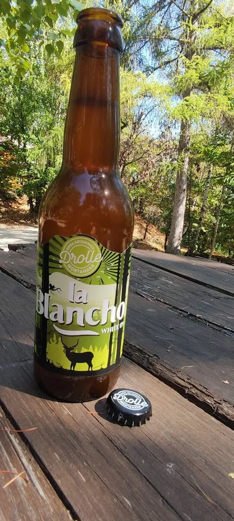 Oscar Mattiazzo_Birrificio Drolle_Bricherasio_review