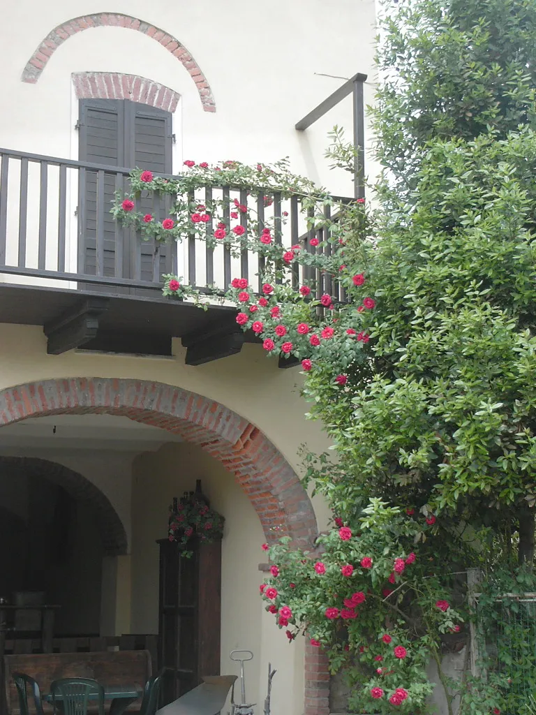 AGRITURISMO La Canal_Bricherasio_slider_image_3