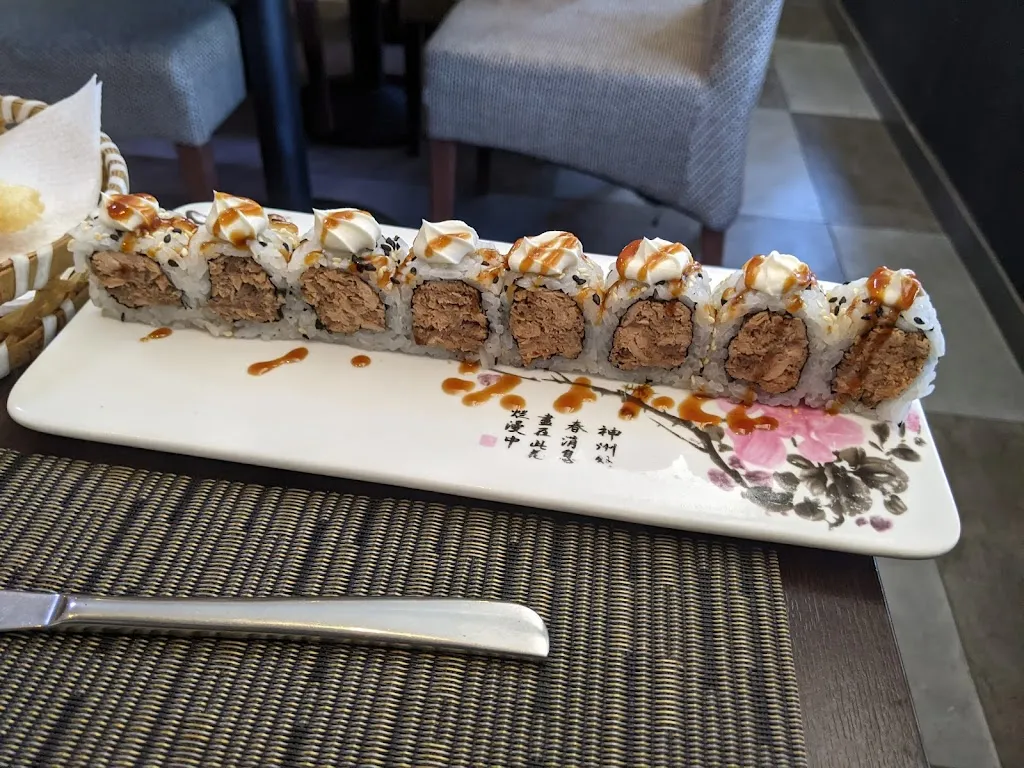 Christian Pignatelli_Ristorante Giapponese Cinese Zhou_Bricherasio_review