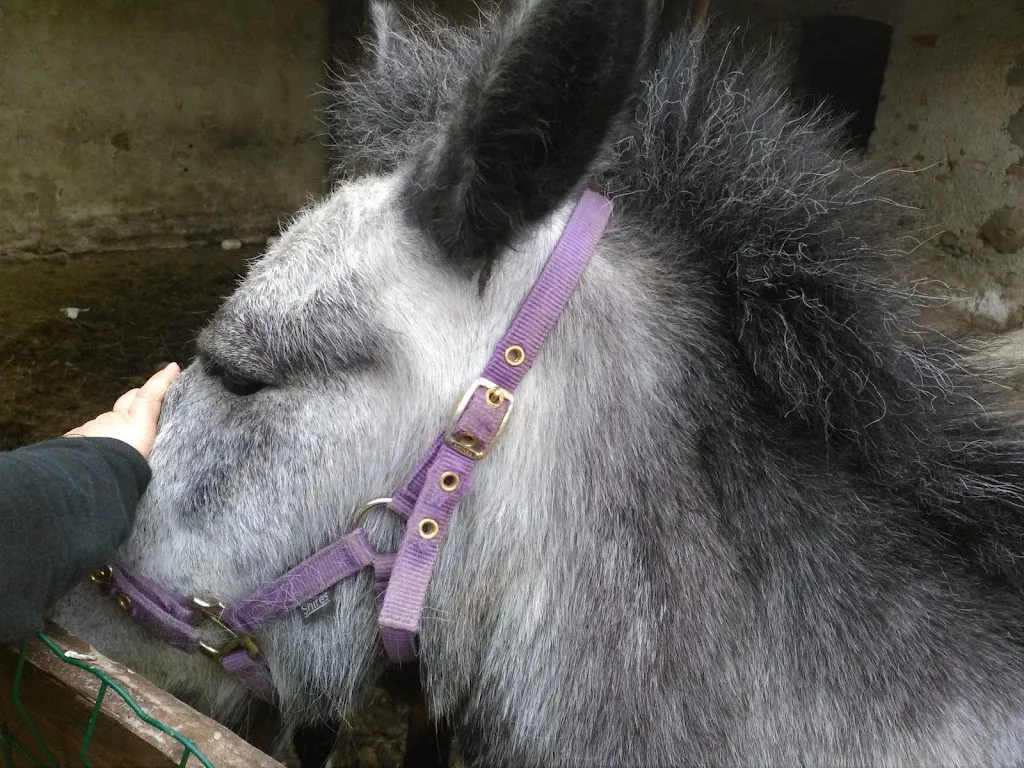 Farmhouse La Fodrera restaurant in Buriasco