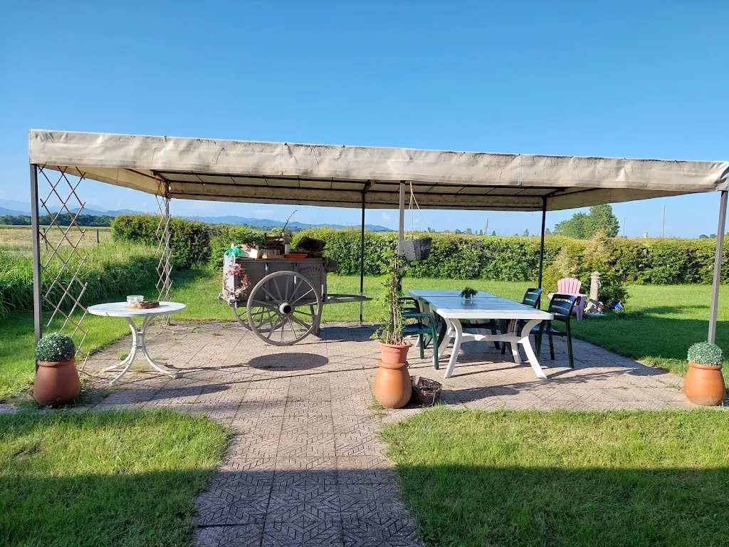 Ciro di Giorgio_Agriturismo Cascina Santa Teresa_Brusnengo_review