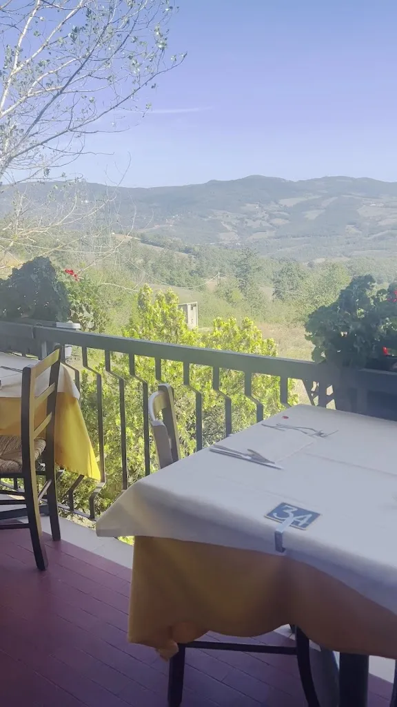 Ristorante IL FUNGO_Castiglione_slider_image_2