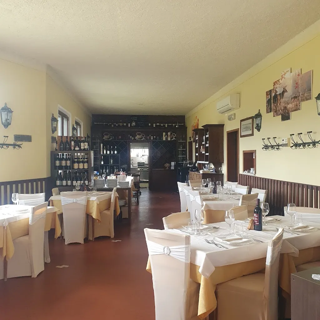 Ristorante IL FUNGO_Castiglione_slider_image_3