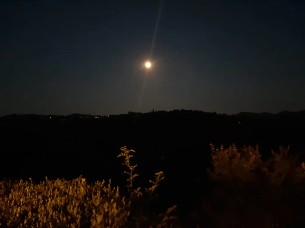 Alberto Guidi_Castello di Brusasco_Brusasco_review