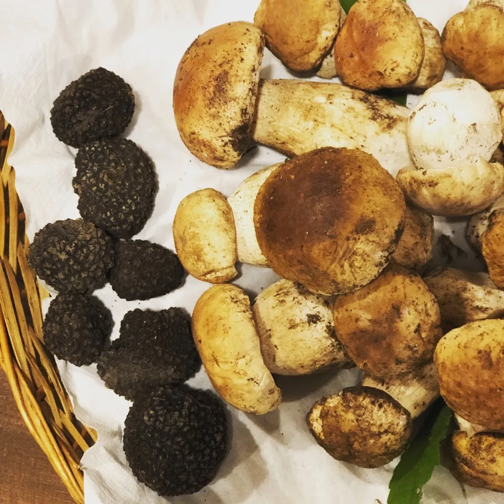 Ristorante Pizzeria Dal Tosco_Castiglione_slider_image_2