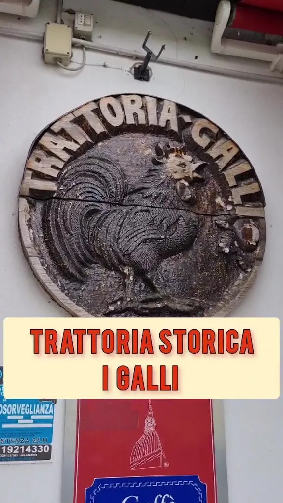 Trattoria i Galli_Brusasco_slider_image_2