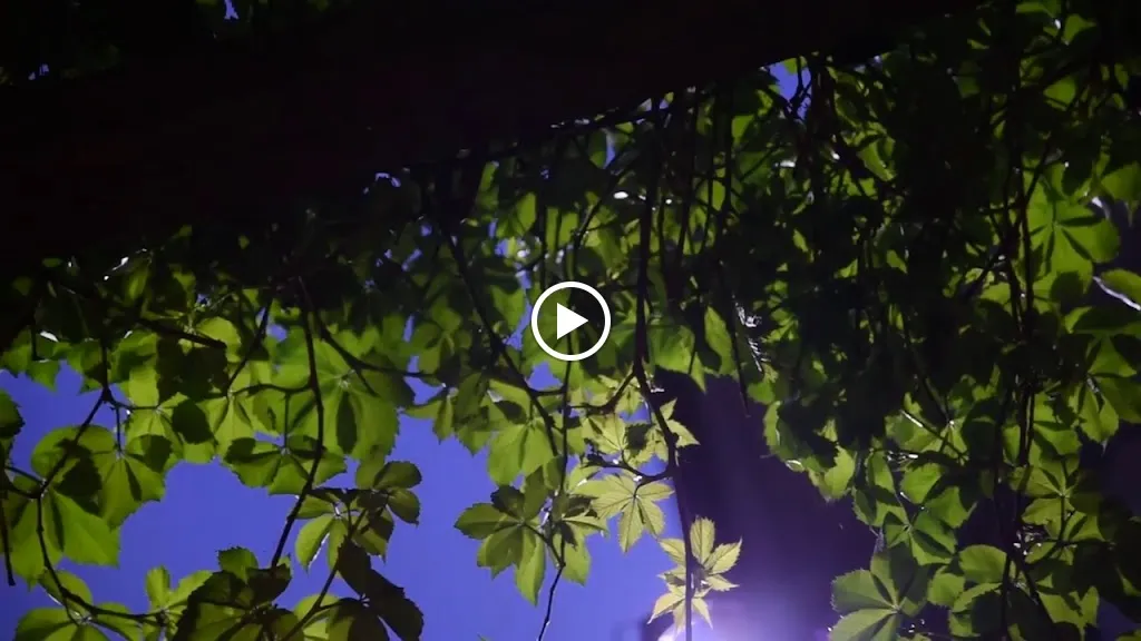 Ristorante La Rava e la Fava_Buttigliera Alta_slider_image_2