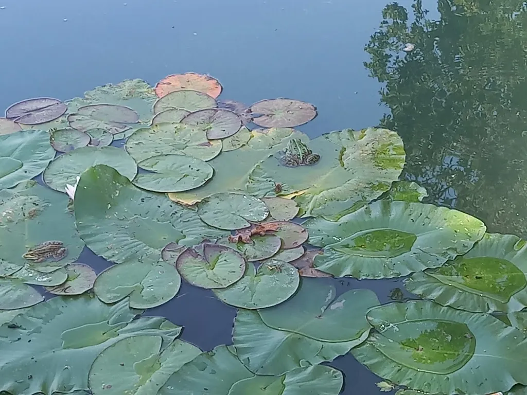 Giuseppe Pucci_Ristorante - Pizzeria Laghetto delle Valli_Cafasse_review