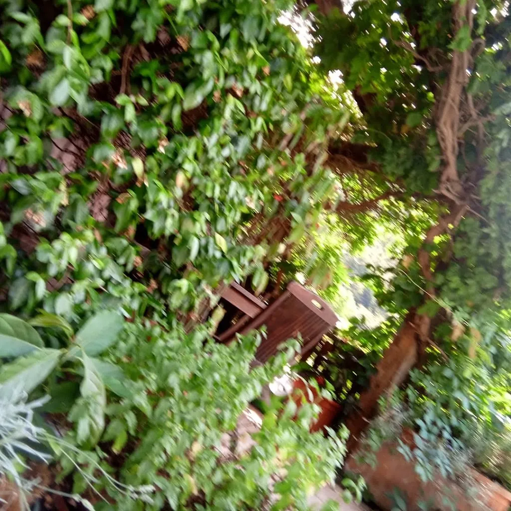 Locanda del Tiglio_Calasca-Castiglione_slider_image_2