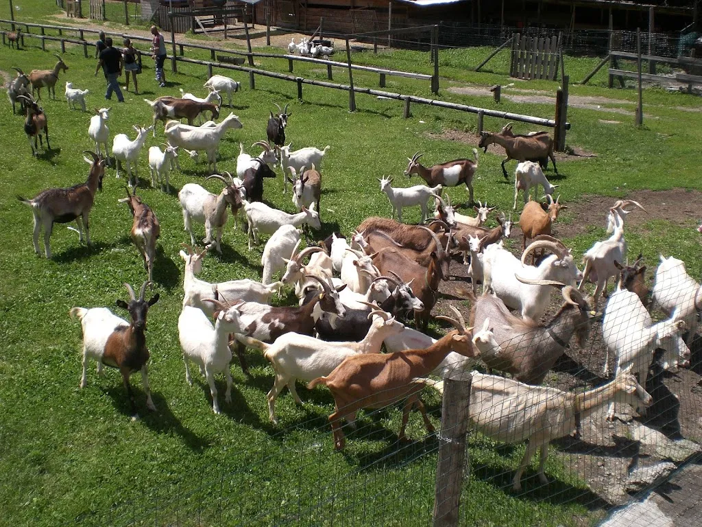 Agriturismo In Valle Sul Fiume_Calasca-Castiglione_slider_image_3