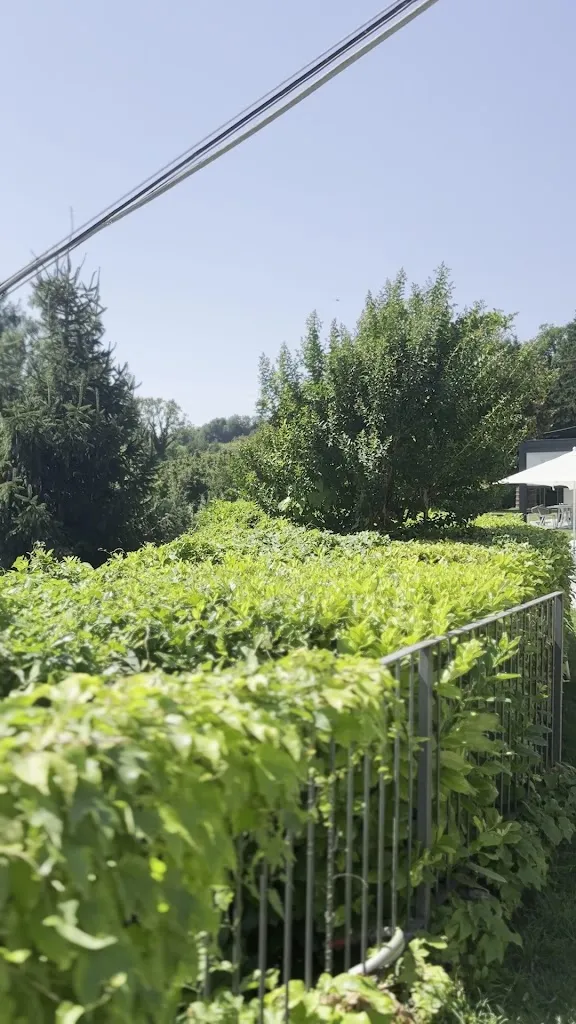 La Camendra_Calamandrana_slider_image_2