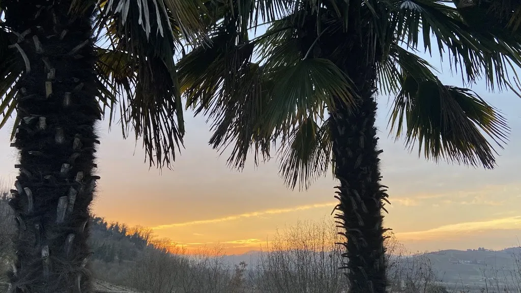 J Egberink_Almaranto Relais Boutique Hotel_Calamandrana_review