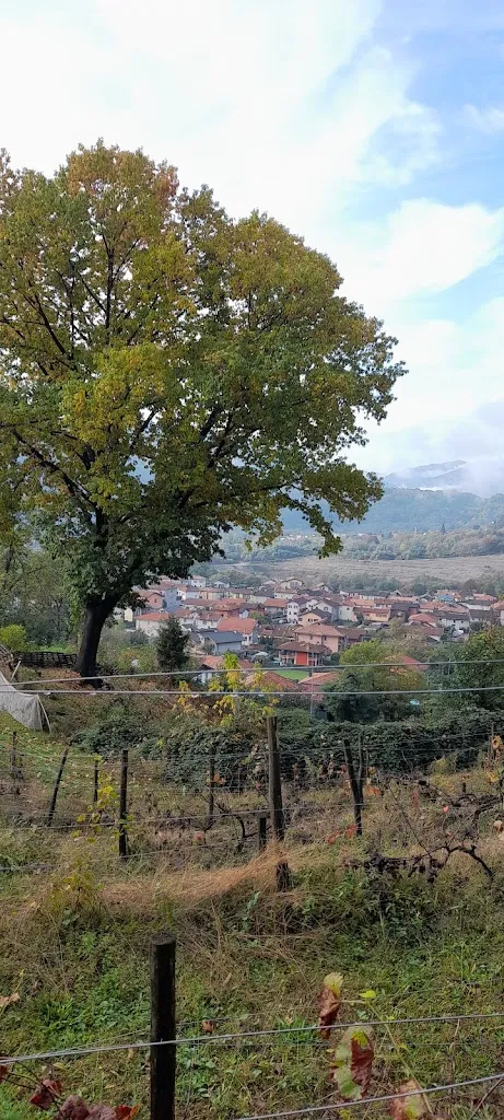 Stephanie Reuss_Farmhouse Al Motto_Cambiasca_review