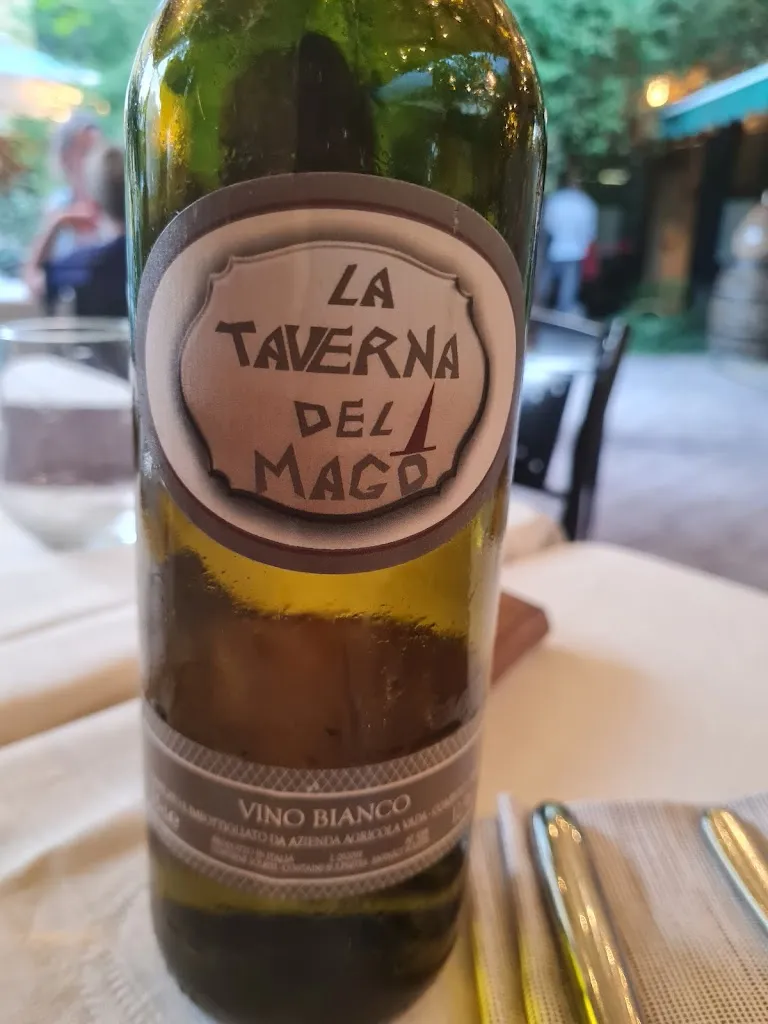 Clemmentijn Treinen_La Taverna Del Mago_Cambiasca_review