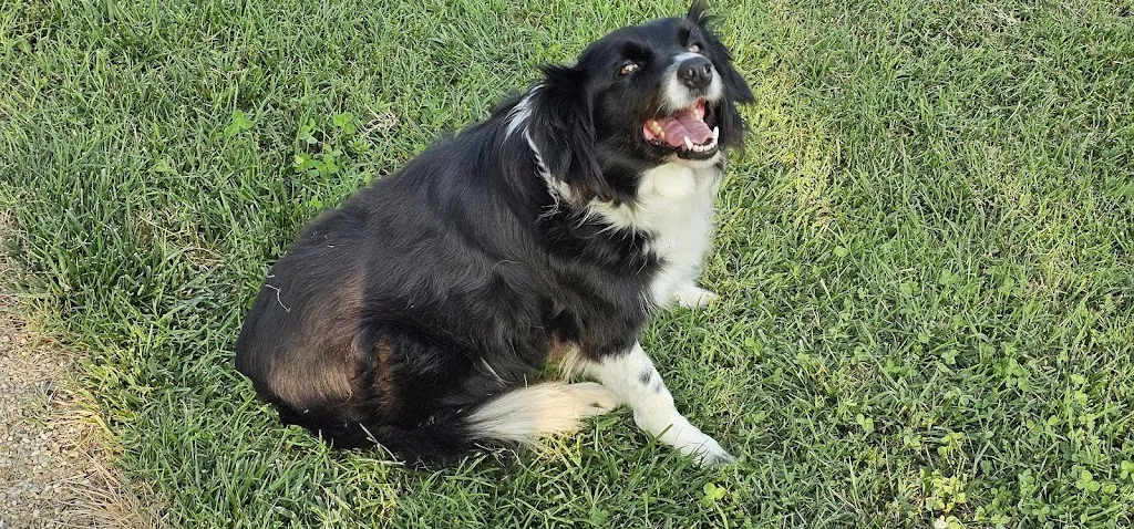 Jakub Mukařovský_Farm of Florario_Cambiano_review