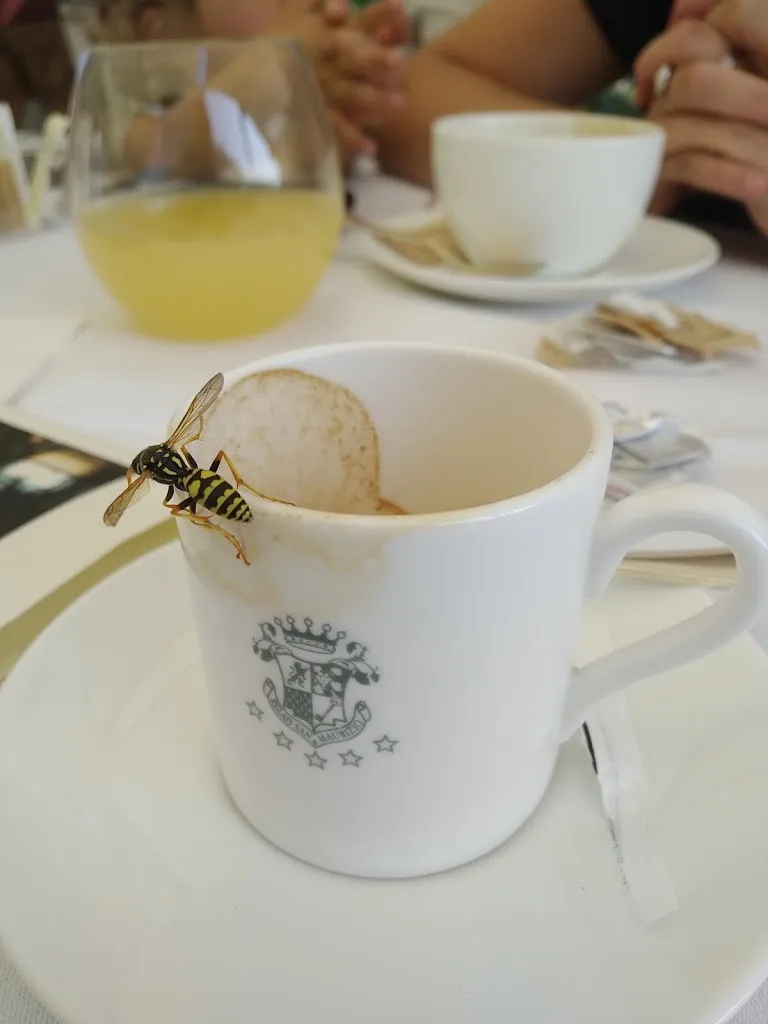 Menu_Origini Bistrot Langhe_Canelli_image_1