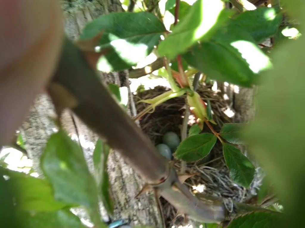 Antonietta Musolino_Area Attrezzata Cantoira_Cantoira_recensione