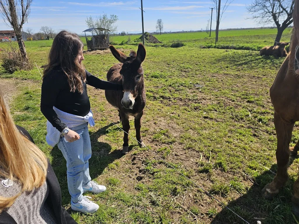 Antonio Solome_Cascina Agriturismo La Valeta_Candiolo_review
