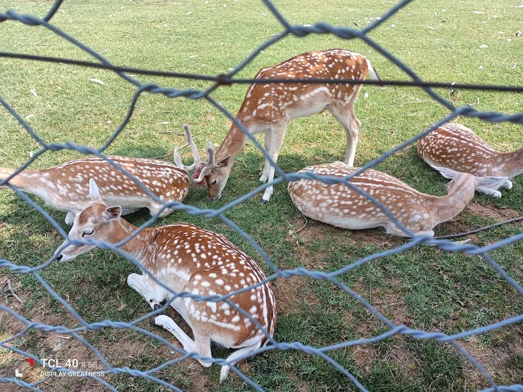 Rocco Abazia_Agriturismo Cascina Gorgia_Candiolo_recensione