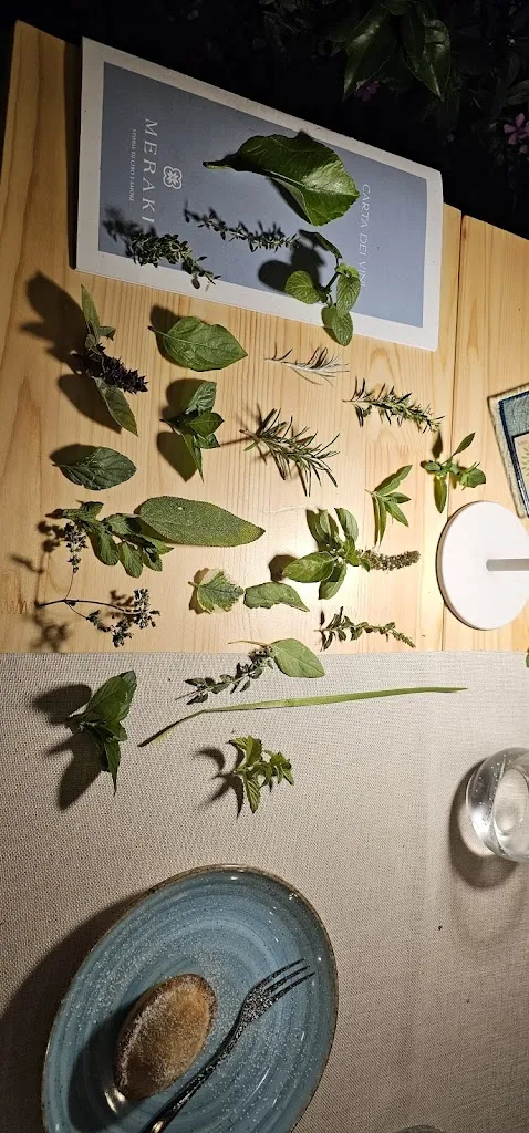 Matei Ladea_MERAKI_Cerfignano_review