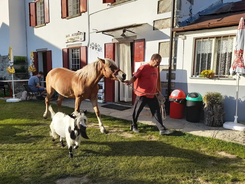 Emanuela Alciati_Locanda Ristoro Maletto_Carema_review