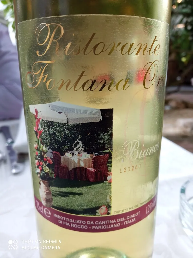 Menu_Ristorante Fontana Oro_Caraglio_image_7