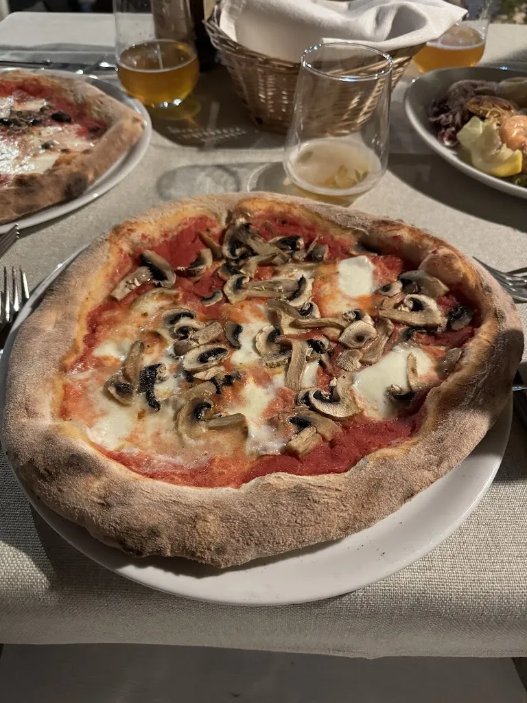 Arisha Arif_Lu Oriu_Cerfignano_review