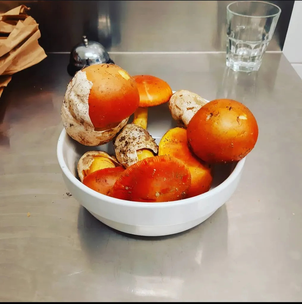 Menu_Osteria Lolli - trattoria bar_Carpeneto_image_9