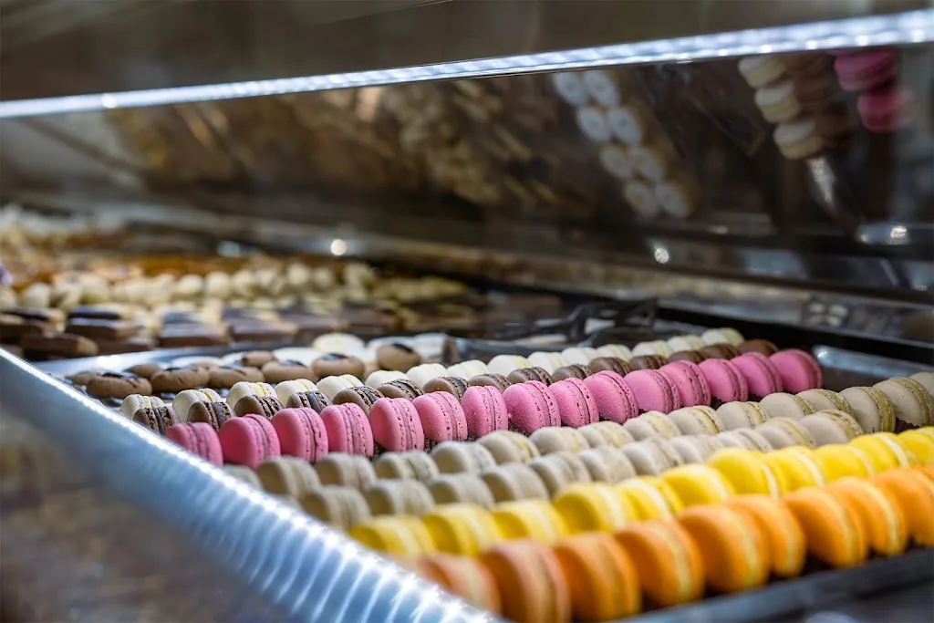 Nicolò_Carpignano Sesia_slider_image_2