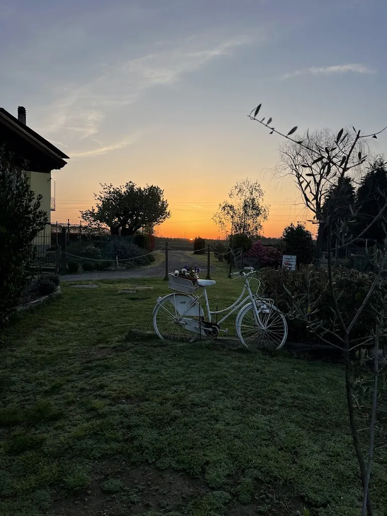 sara pedrini_Agriturismo La Biandrina_Carpignano Sesia_review