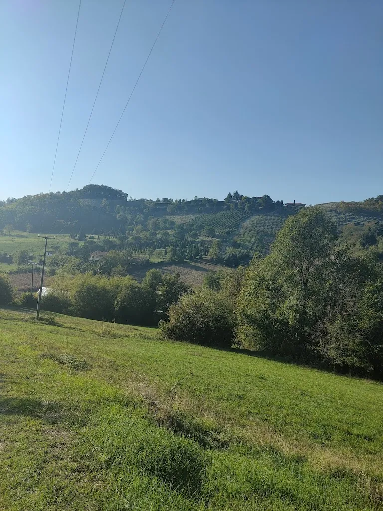 AGRITURISMO FIORISCA IL CUORE_Casalborgone_slider_image_1