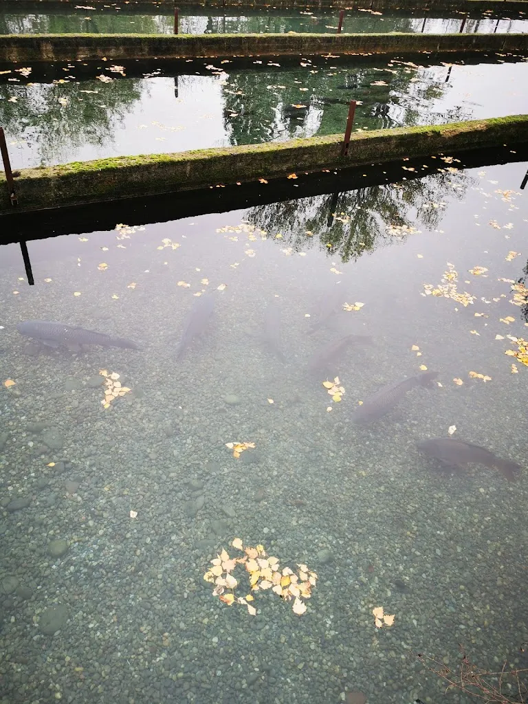 Davide Brustia_Il Laghetto di Casaleggio_Casaleggio Novara_review