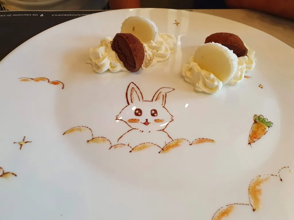 tomo n_Fumi - Ristorante Cinese Giapponese - Ivrea_Cascinette d'Ivrea_review