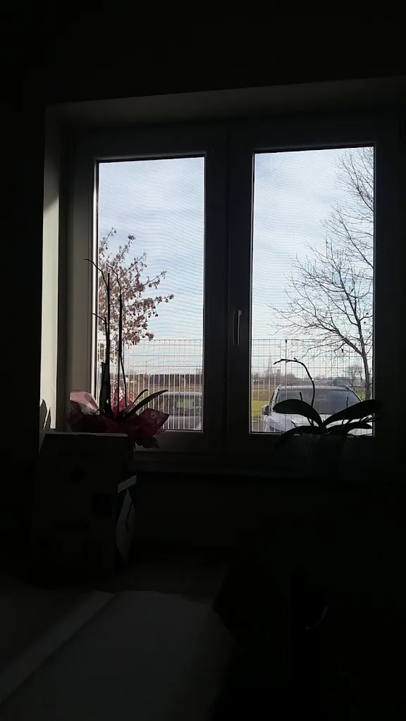 Cristina Mazzocchi_Centro D' Incontro Ss. Michele e Grato_Carmagnola_recensione