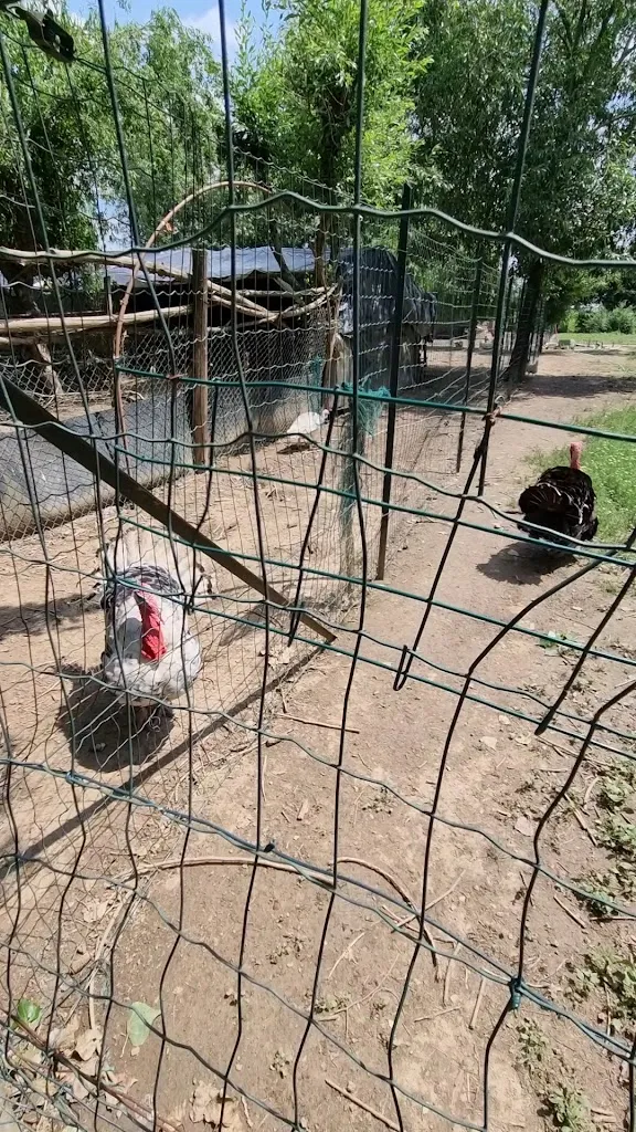 adina _moments_Cascina Bricco_Carmagnola_review