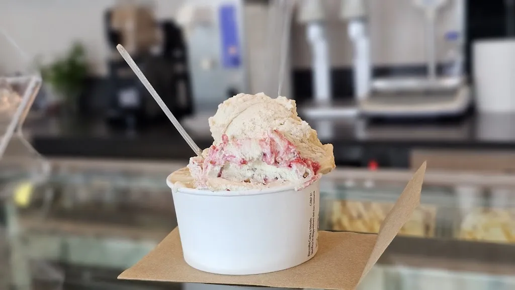 Menu_Gelateria Artigusto_Carmagnola_immagine_2