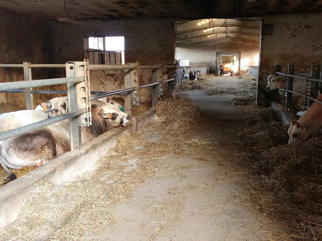 Agriturismo B&B La Benvenuta_Carmagnola_slider_image_3