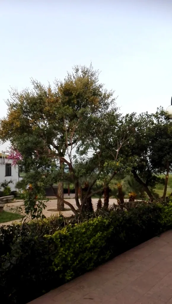 Masseria Casacapanna Agriturismo Padre Pio Giovane restaurant in Chieuti