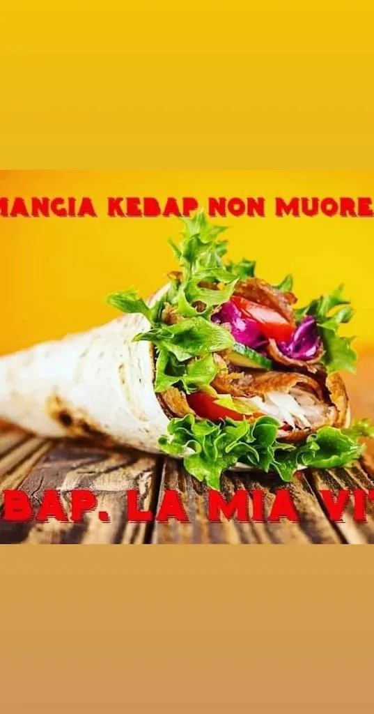 Menu_Turkish Istanbul pizza kebab Carmagnola_Carmagnola_image_9