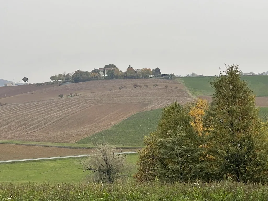 Giuseppe Cecchini_Ristorante Sciapa Pum_Casale Monferrato_review