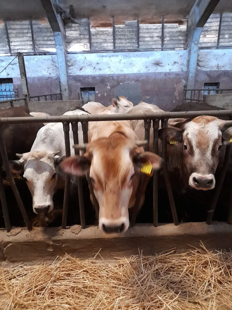 Farm Bottazza_Casale Monferrato_slider_image_2